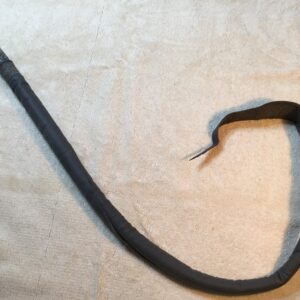 Gray Dragon Tail