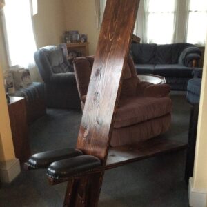 Ren Faire Bench/Viking Chair